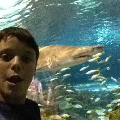 smsm17sam's profile picture. 