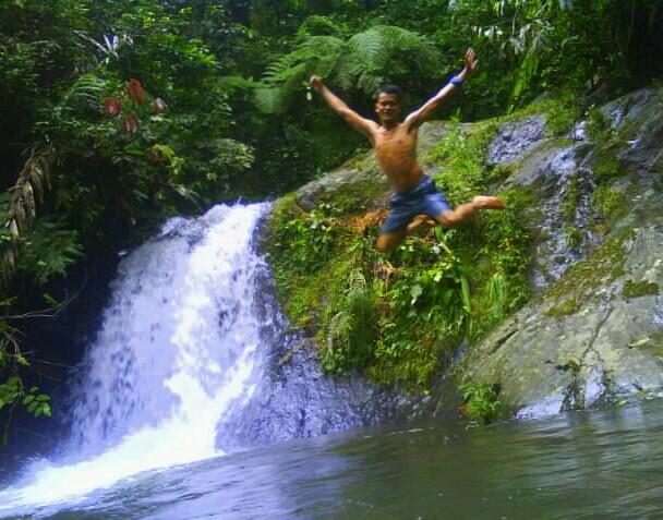 Kakak Pisang, Musa paradisiaca L, Generasi pewaris Jiwa Mujahid, Karate, adventure in nature, You make Me Confuse.