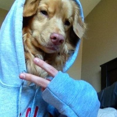 Dsyrz Profile Picture