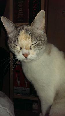 rsb60622's profile picture. 