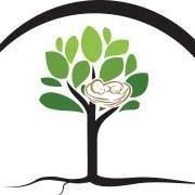 Circle of Life Surrogacy is a unique, full service surrogacy boutique located in Central Oregon. 1-800-913-9703