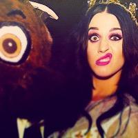 katycat sambando