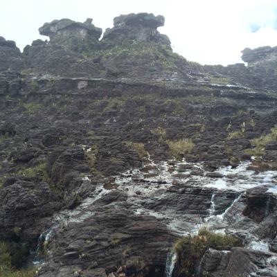 hmgto1's profile picture. 