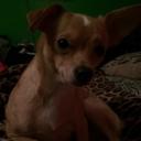 Diane Wright - @Diane4545Diane - Twitter