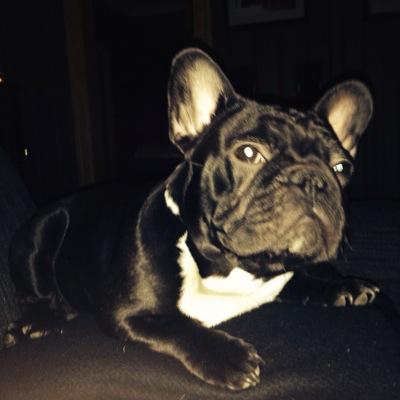 KStrandab's profile picture. 