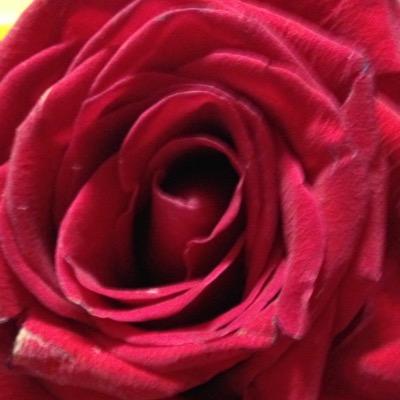 lifecode3's profile picture. 映画制作京都生まれ