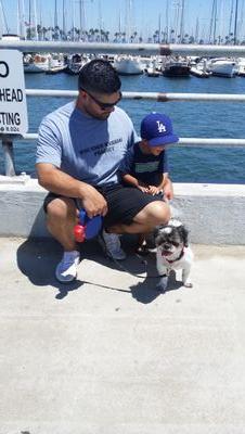 gsxrchavez's profile picture. 