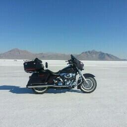 bruensburgeinc's profile picture. 