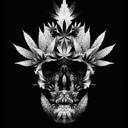 billy wray - @billywray3 - Twitter