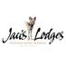 jacis lodges madikwe (@jacislodges) Twitter profile photo jacis lodges madikwe (@jacislodges) Twitter profile photo