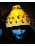 k4o5wizard's profile picture. eLearning Lab