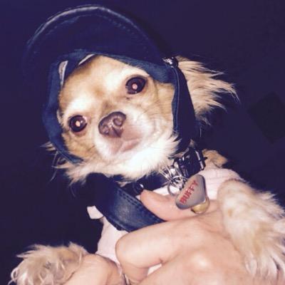 Poco psico, impulsiva, publicista, y NO definitivamente NO soy amiga de las criaturas llamadas niñ@s