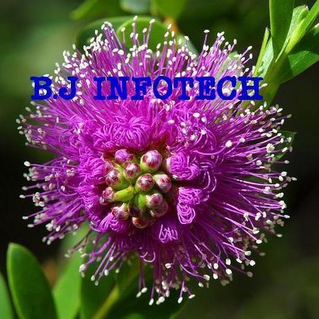 BulksmsLudhiana's profile picture. B.J info tech is a leading company in bulk sms. We provide you bulk sms services in cheap rates in all over India