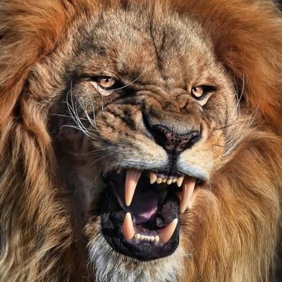 My objective is to factually destroy left wing regressive Governments ~ holding to account their collectivist minions who spread division & fear to control you.