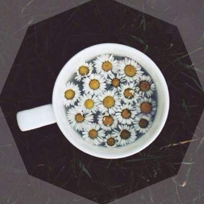 Com amor, carinho, café e cafuné ☕️ Brasil, versos e prosas, @gegemayer