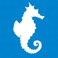The Snorkel Store (@thesnorkelstore) 's Twitter Profile
