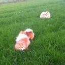 Elisa Weber - @elisaweber56 - Twitter