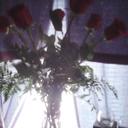 CINDY SIMMS - @pus198152 - Twitter