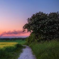 kucywinowyri's profile picture. Hipster-friendly problem solver