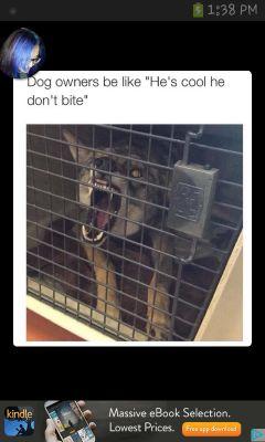 dailyproblems66's profile picture. You dont like what I post ok then move on and stop sweating me.
I just post what I belive should be herd