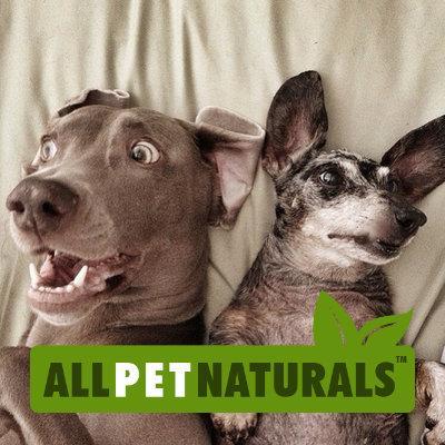 Purveyors of unique natural pet care products, health remedies, organic chews & eco friendly accessories. http://t.co/qIOMBKVgdI. Toll Free Call 1.877.232.7387