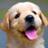 TheAdorablePics's profile image