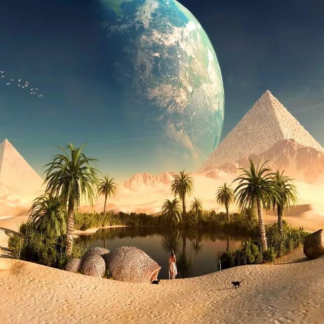 Meinheimat's profile picture. 