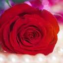 احمد عبدة احمد (@0552013) Twitter
