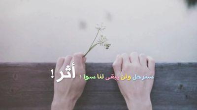 ‏‏‏‏‏ قد نكون يوماً من ضمن الغائبين ، ولكن نتمنى أن نكون قد زرعنا أثراً جميلا .. '♡