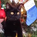 Patty Stephens - @913eae72ffcd44e - Twitter