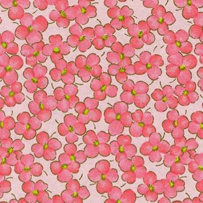 cea_xxx's profile picture. 