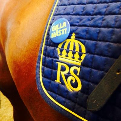 Ridskolan Strömsholm Profile