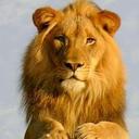 sarah griffey - @Smiling_Leo - Twitter