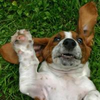 John Marshall (@jm_marshaj1) 's Twitter Profile