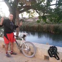 Carlos Alarcón (@salarko) 's Twitter Profile