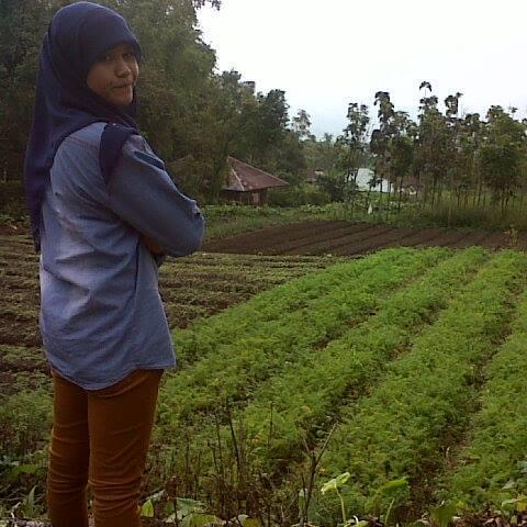 padang state university