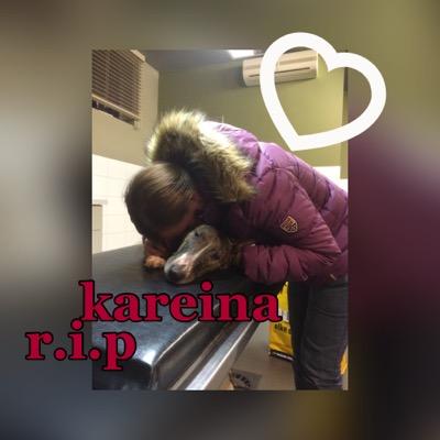 I love my bull forever! 6-1-2015 RIP❤️
