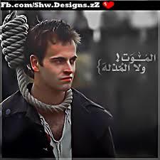 yryuquiqi646771's profile picture. 