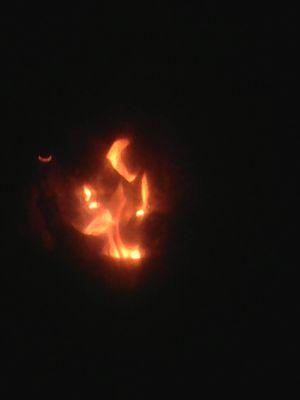 akash_kharel's profile picture. 