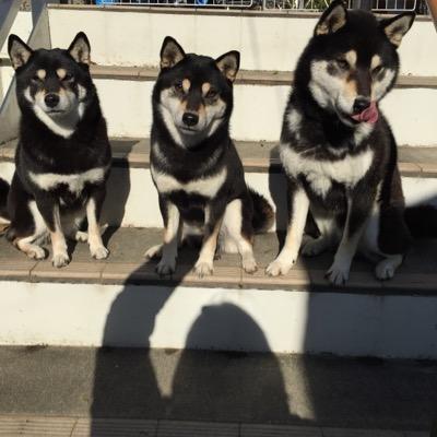 瀬賀楓佳 Fuvictorydog Twitter 瀬賀楓佳 Fuvictorydog Twitter