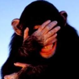 Part of the worldwide #FBR #FollowBackResistance. Sworn enemy of #RWNJs.   Born in Yorkshire, raised in Western Australia.  Tweets may contain sweary words.