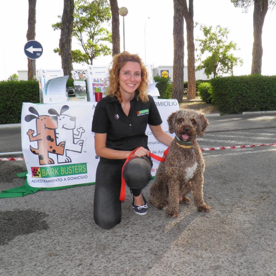 BarkBustersES's profile picture. 