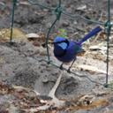 alan logan - @Logan1Alan - Twitter