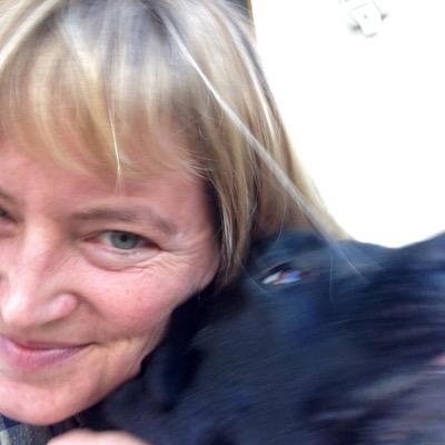 v_meike's profile picture. 