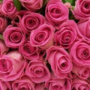 Nothing is worth more than this day. - Goethe