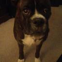 Ronald Arnett - @arnettron3 - Twitter