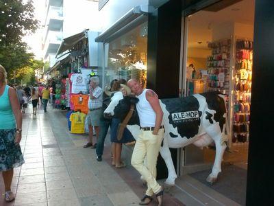 koostencate's profile picture. 