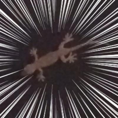 20↑腐/主人公を右に/オスラの尻尾吸い ◎記載されている会社名・製品名・システム名などは、各社の商標、または登録商標です。