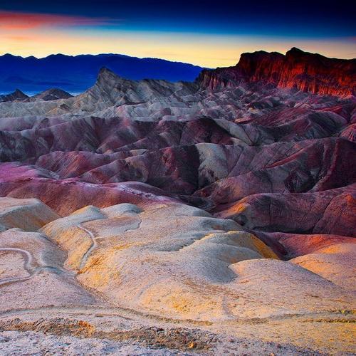 zytixotylum's profile picture. Devoted bacon expert