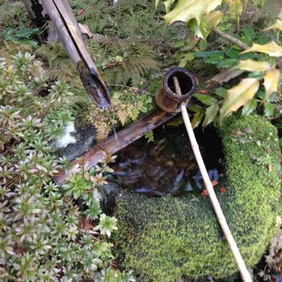 kokoronoizu's profile picture. 心理学や自己啓発に関する心に響く言葉をツイートしています。人生におけるすべての悩みが少しでも癒されることを目的としています。もし印象に残るツイートがあればRTして下さい♪※恐れ入りますが、このアカウントはリプライおよびDMによる反応は致しません。予めご了承下さい。